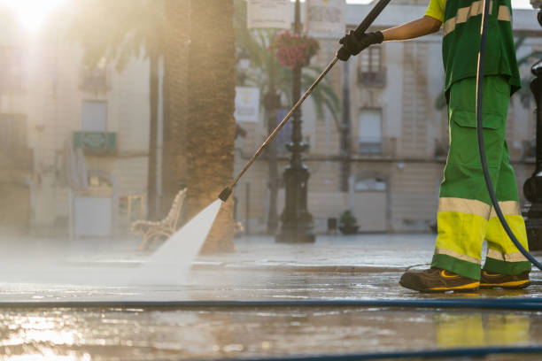 Best Roof Pressure Washing  in Halesite, NY