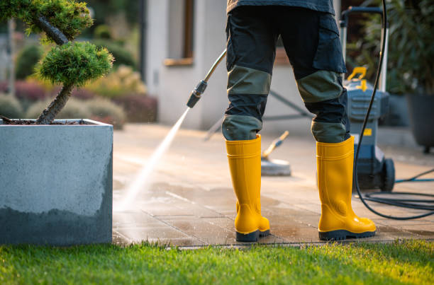 Best Pressure Washing Near Me  in Halesite, NY